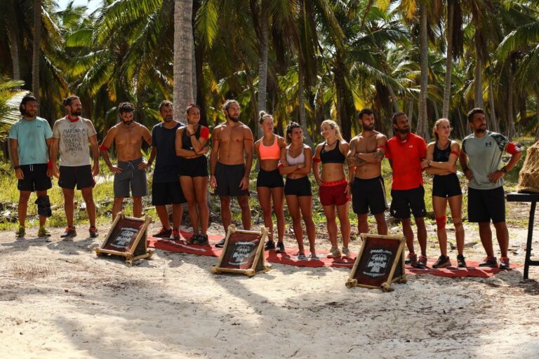 Survivor All Star