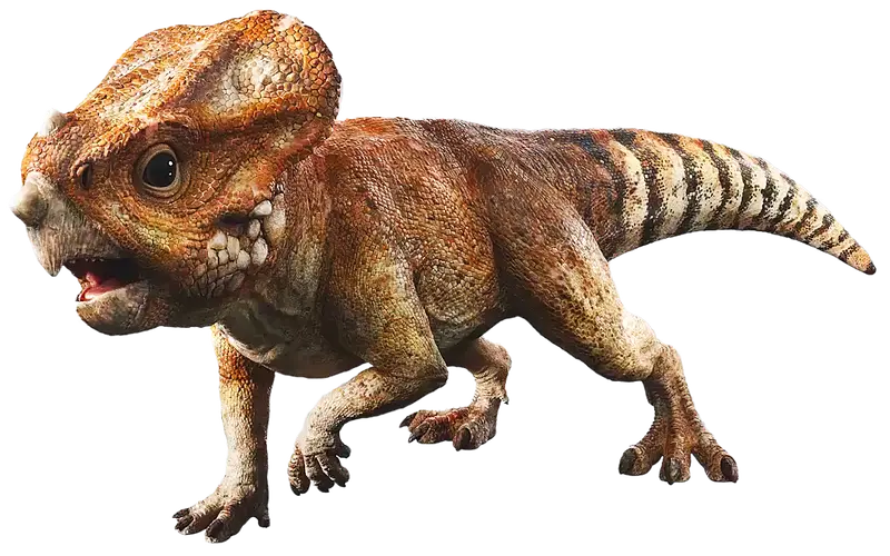Aquilops